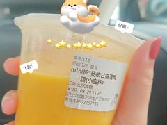 芒果牛乳-沪上阿姨·精选茶饮(南开白堤路店)