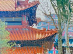 -高旻寺