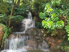 -广州市帽峰山景区