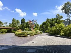 -新加坡飞禽公园
