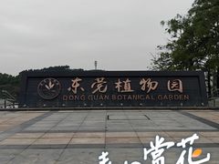 -东莞植物园