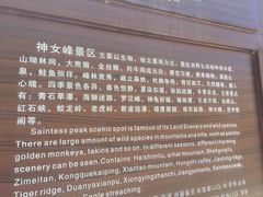 -青峰峡国家森林公园