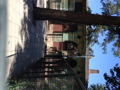 iphone_upload_pic-北京动物园