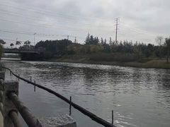 -映月湖中央公园