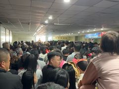 -白洋淀景区