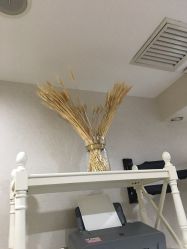 -熙朵美学植发连锁