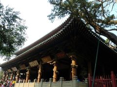-晋祠公园