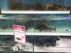 -盒马鲜生(大成店)