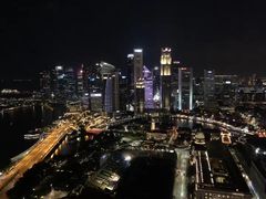 -新加坡瑞士史丹福酒店