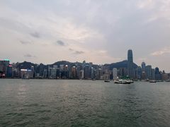 -黄家驹墓