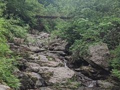 -龙道沟景区