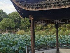 -花溪公园
