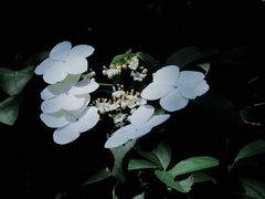 -渤公岛生态公园