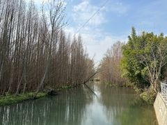 -桤木河湿地公园