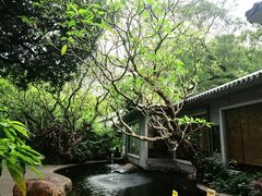 -广州兰圃