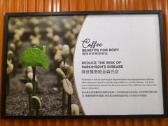 -巴厘岛黄金金兔咖啡工厂