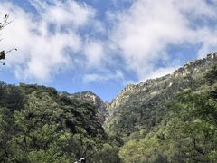 -泰山风景名胜区