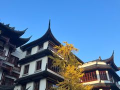 -宁波汤团店(外滩店)