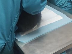 -派联宠物医院·24h·CT·异宠