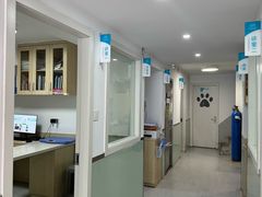 -乐派堂宠物医院·猫友好· 心脏科(东街店)