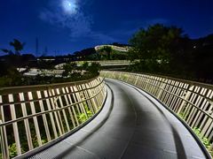 -福道