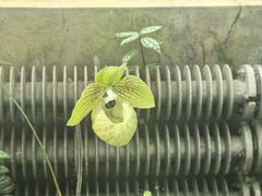 -国家植物园南园