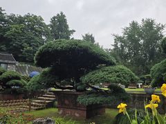 -水绘园