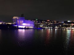 -欢乐海岸椰林沙滩-2025湾区超级灯会
