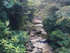 -鼎湖山风景区