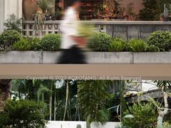 -自由生长植物工作室(深港花卉中心店)