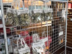 -蓝湾碧波·老字号·疍家非遗海上餐厅