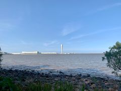 -上海吴淞炮台湾国家湿地公园