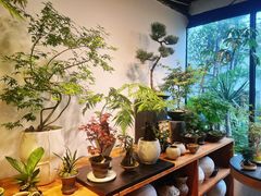 -自由生长植物工作室(深港花卉中心店)