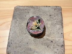 -晴空·日本料理(万象城店)