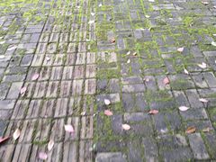 -芜湖方特旅游度假区