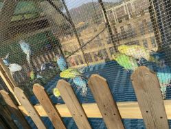 -浅山蜜塘奇妙乐园·亲子营地