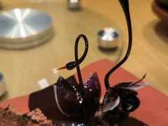 -BLACKSWAN黑天鹅(环球店)