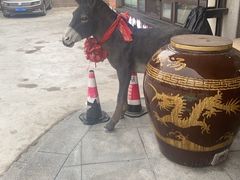 -乔家小院•本地小海鲜•非遗驴肉(万年泉路店)