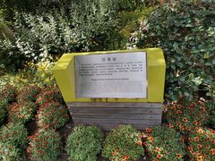 -青枫公园