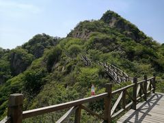 -大岭沟猕猴桃谷风景区