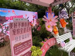 -广州长隆欢乐世界