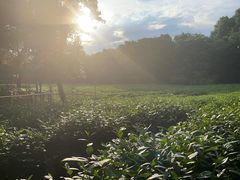 -杭州萧山国际机场