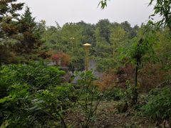 -三峡梯城