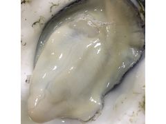 -大富蚝乌东哥饭店·石锅鱼杂·柠檬鸭(革新路店)