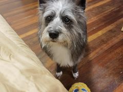 -爱侣宠医·鹦鹉专科·小型哺乳类·异宠专科(灵石路店)