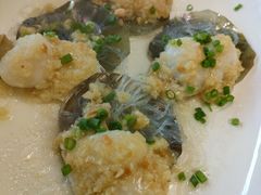 -顺德了能馆(虎门店)