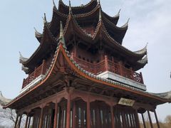 -上海海湾国家森林公园