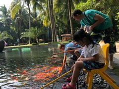 -三亚湾海居铂尔曼度假酒店