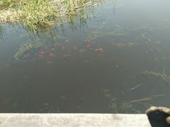 -前关湿地公园