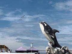 -西霞口神雕山野生动物世界